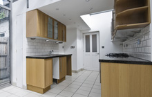 Hemerdon kitchen extension leads